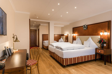Bellevue Rheinhotel: Room