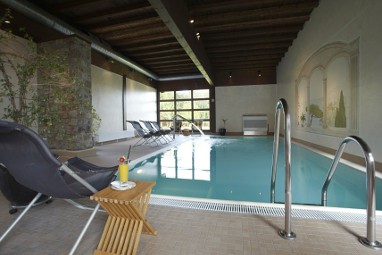TOP Hotel Jagdschloss Niederwald: 泳池