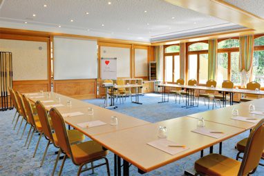 Ringhotel Mönchs Waldhotel: Meeting Room