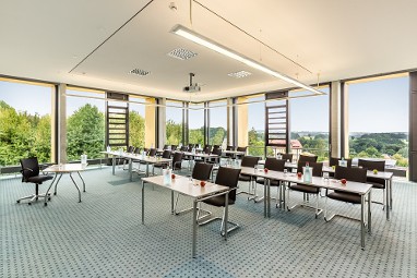 rugs Hotel am Schlosspark Lichtenwalde: Sala de reuniões