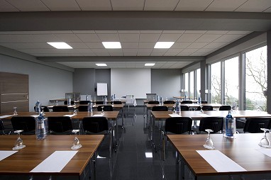 Design-Konferenzhotel & Restaurant Steinernes Schweinchen: Sala de reuniões