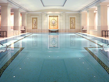 Hotel Adlon Kempinski Berlin: 泳池