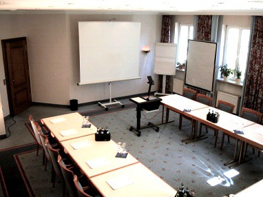 Hotel Limmerhof: Sala de reuniões