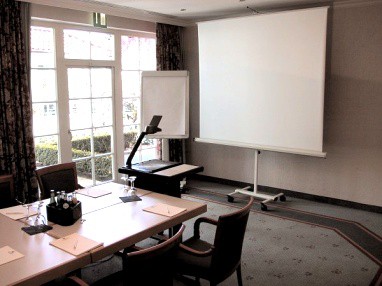 Hotel Limmerhof: Sala de reuniões
