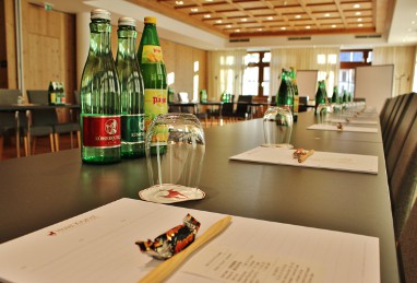 Hotel Kitzhof: Meeting Room