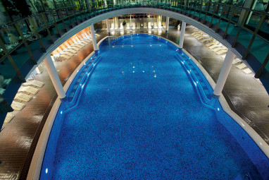 centrovital Hotel: 泳池