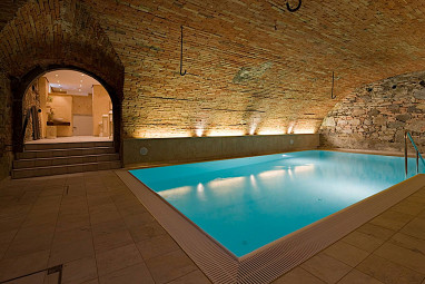 Hotel Gerbe: Pool