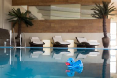 Radisson Blu Hotel Cottbus: 泳池