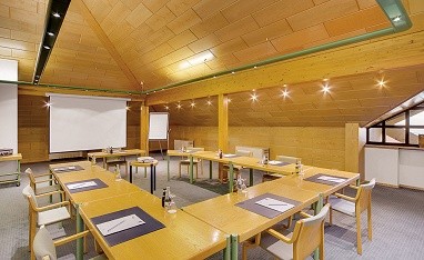 Hotel Gersfelder Hof: Meeting Room