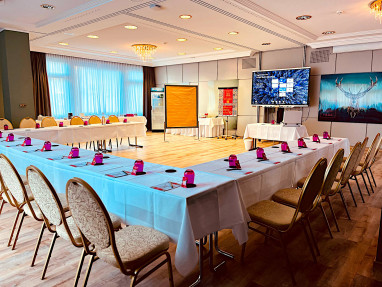 Harz Hotel & Spa Seela: Meeting Room