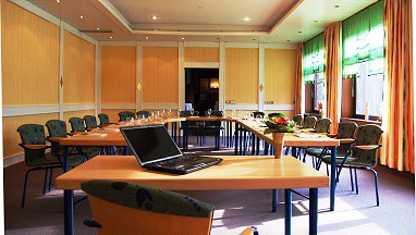 Landidyll Wilminks Parkhotel: Meeting Room