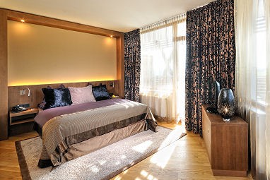Falkensteiner Hotel & Spa Bad Leonfelden: Room