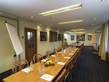 GAIA Hotel Basel: 회의실