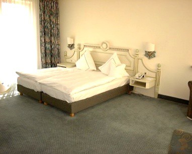 Hotel Limmerhof: Room