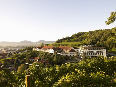 Steigenberger Hotel and Spa Krems: Vista externa