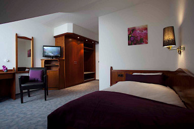 Hotel Frechener Hof: Room