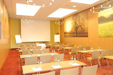 Hotel Vitalis: Sala de reuniões