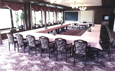 Ferienhotel Stockhausen: Meeting Room