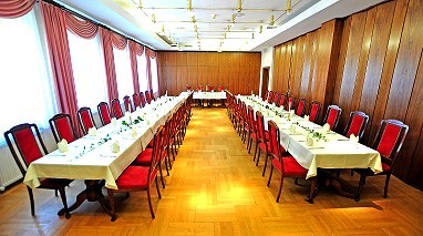 Hotel Alexandra Plauen: Sala de conferências
