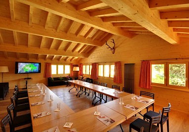 Schatzalp Snow and Mountain Resort: Sala de reuniões