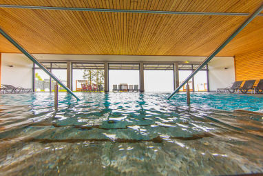 Bodensee-Hotel Sonnenhof: Pool