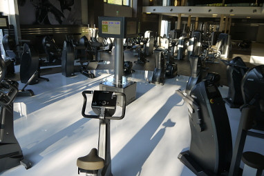 ESSENSIO Hotel : Fitness-Center