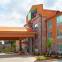 Holiday Inn Express & Suites LAFAYETTE-SOUTH